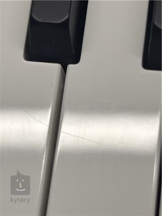 Sequential Fourm (zánovní) - Analogový syntezátor