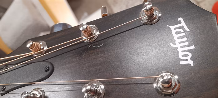 Taylor 214ce Plus (použité) - Elektroakustická kytara