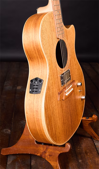 Cole Clark 2021 TL-Thinline TN2EC BLBL HUM - Hybridní kytara