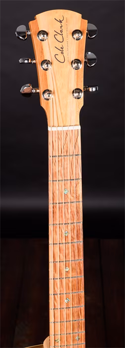 Cole Clark 2021 TL-Thinline TN2EC BLBL HUM - Hybridní kytara