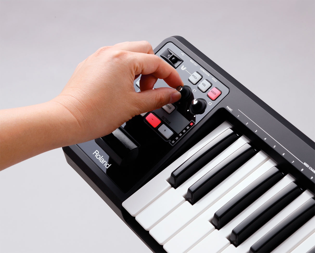 Roland A-49 BK (obrázek 7)