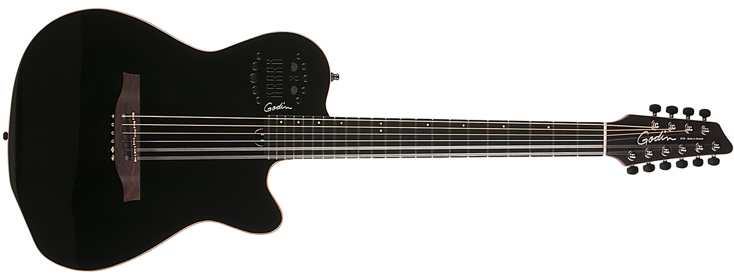 Levně Godin A10 Black Steel HG
