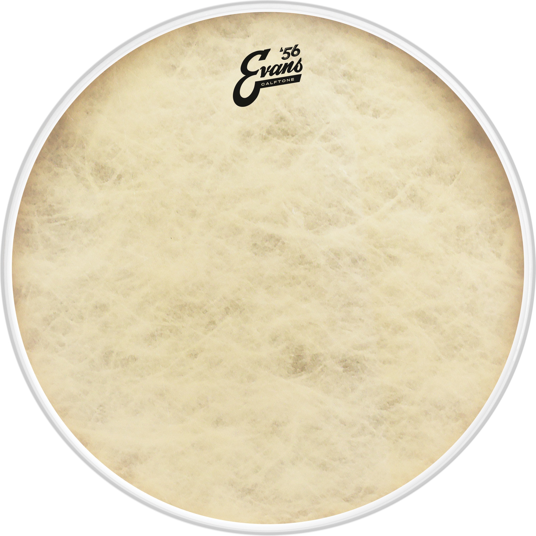 Levně Evans 18" Calftone
