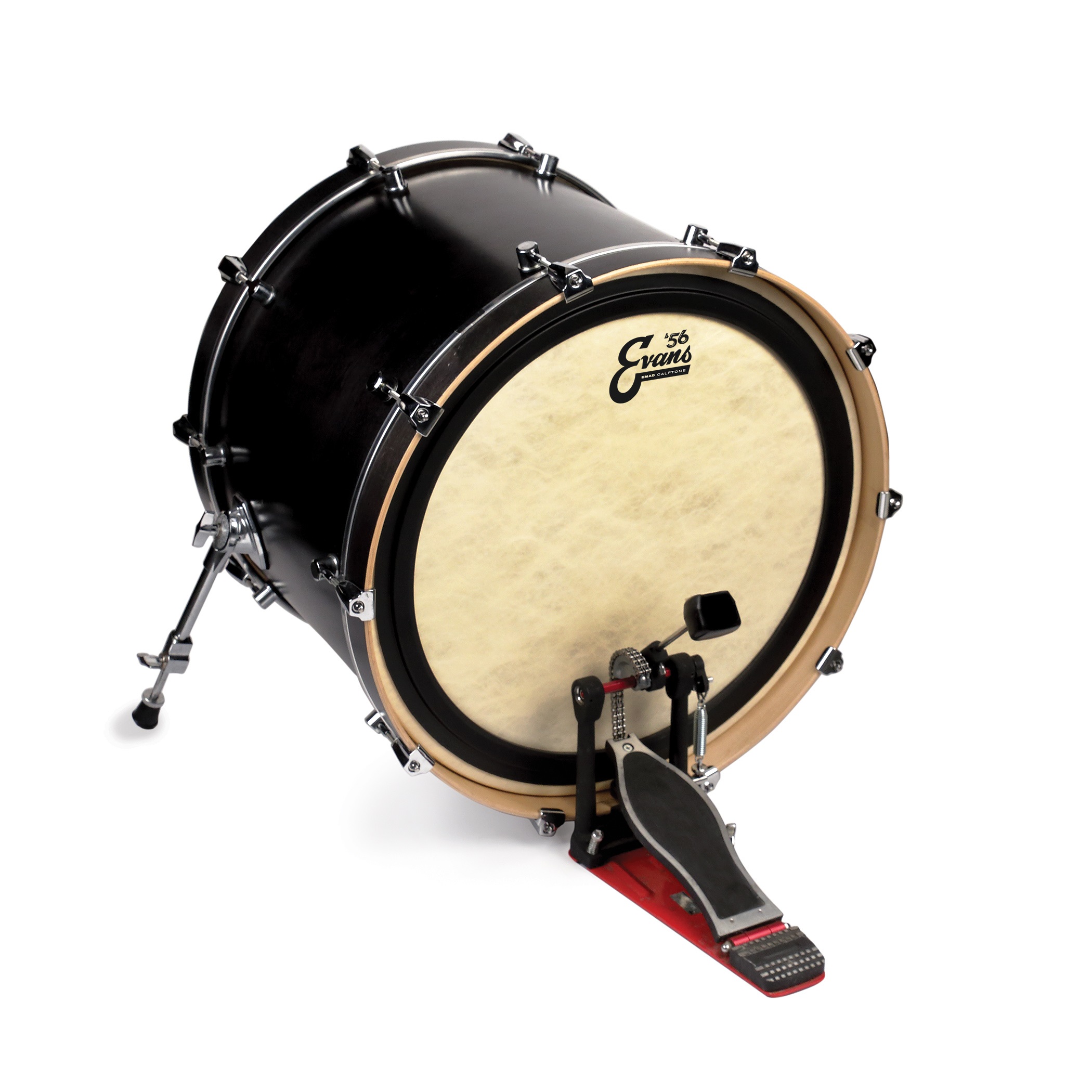 Evans 20" EMAD Calftone (obrázek 3)