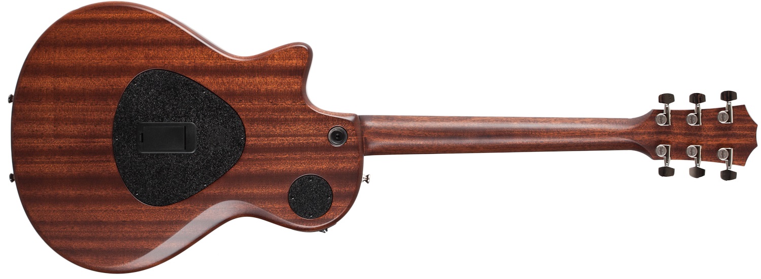 Taylor T5z Classic (obrázek 3)