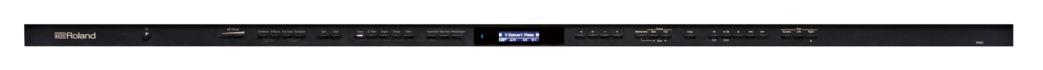 Roland DP603-CB (obrázek 4)