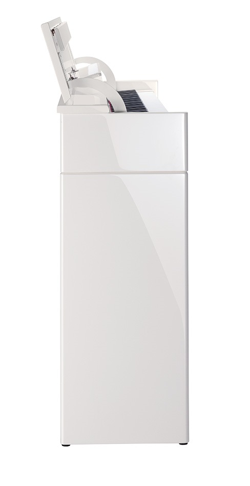 Roland DP603-PW (obrázek 3)