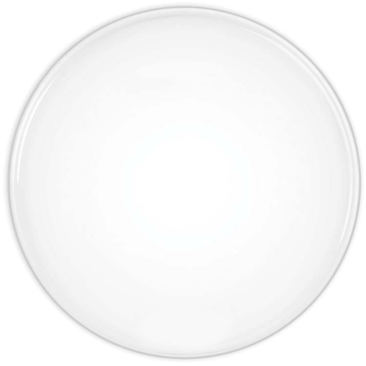 Levně Evans 24" EQ3 Reso Smooth White bez loga