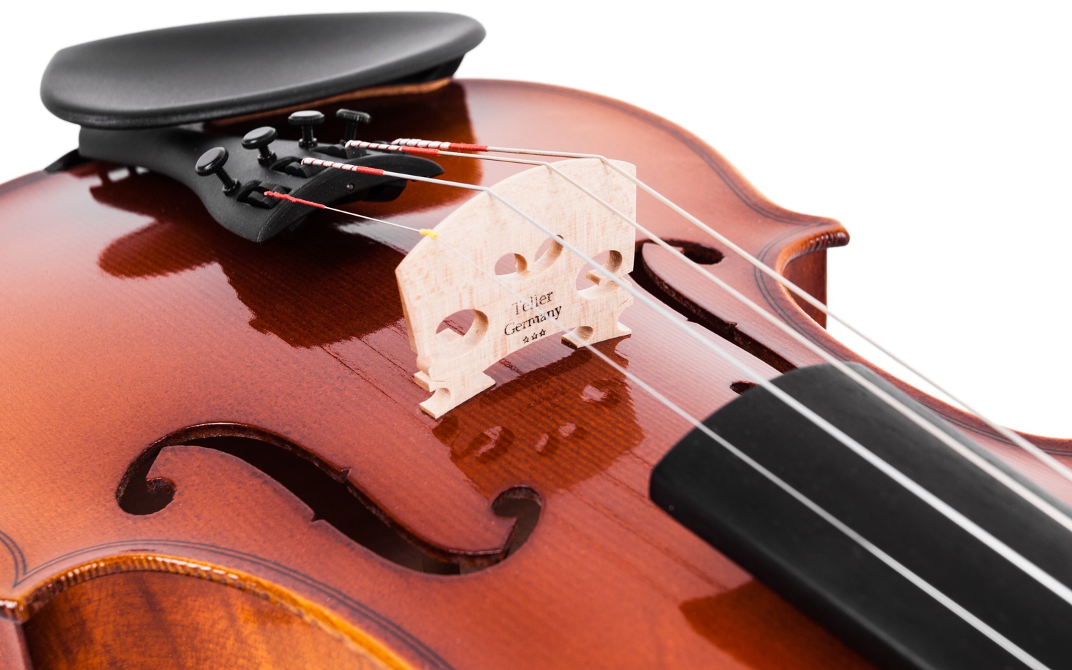 Sandner VIOLIN 606 SIZE 4/4 (obrázek 5)