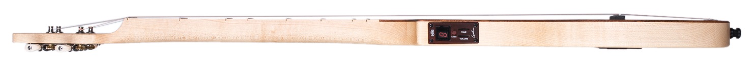 Seagull M4 Mahogany EQ (obrázek 4)