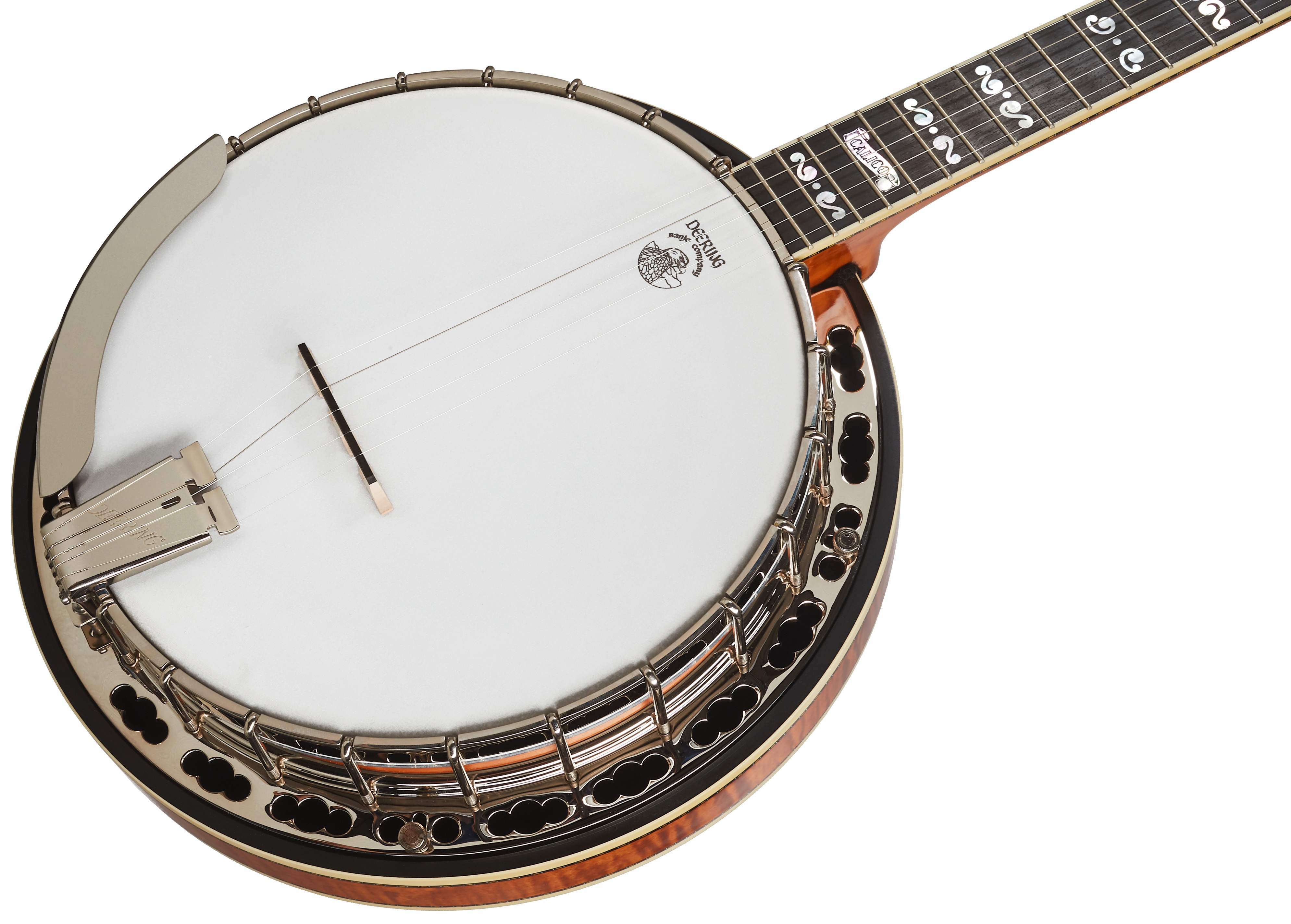 Deering Calico 5-String (obrázek 3)