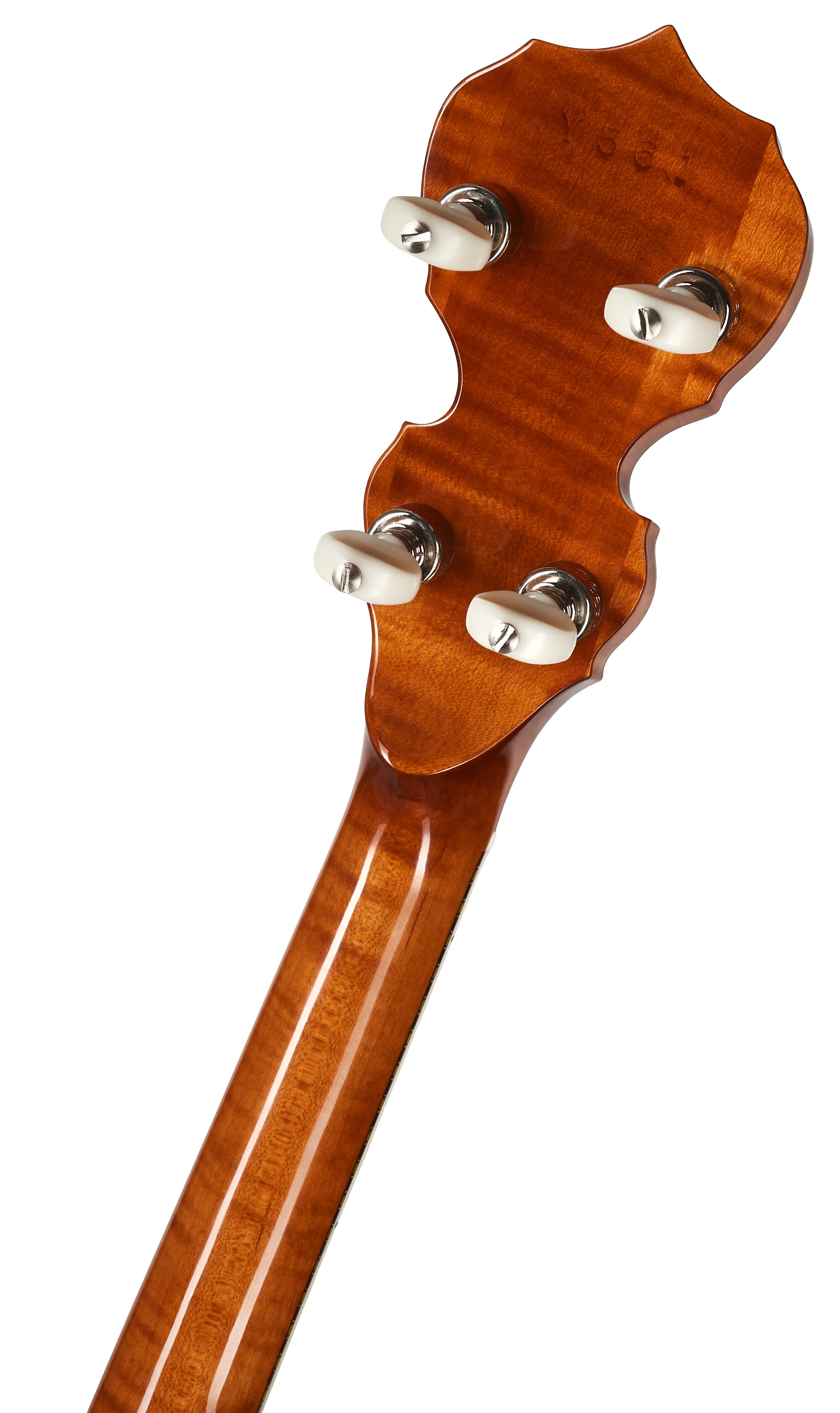 Deering Calico 5-String (obrázek 5)