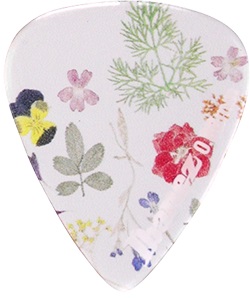 Ibanez PCP14MH-C1 (obrázek 4)