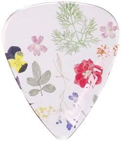 Ibanez PCP14H-C1 (obrázek 4)