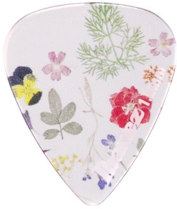 Ibanez PCP14XH-C1 (obrázek 4)