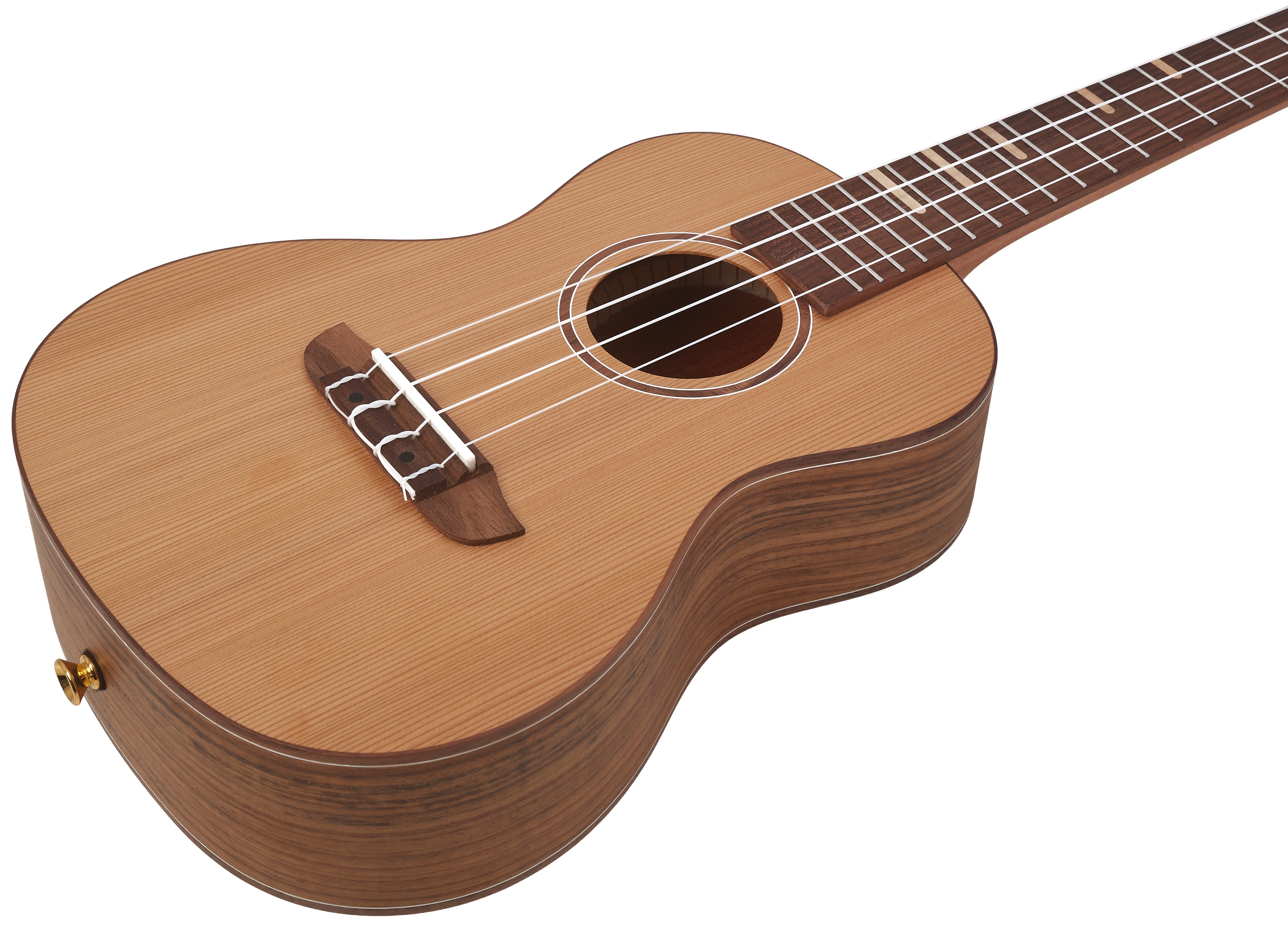 Ortega RUTI-CC (obrázek 3)