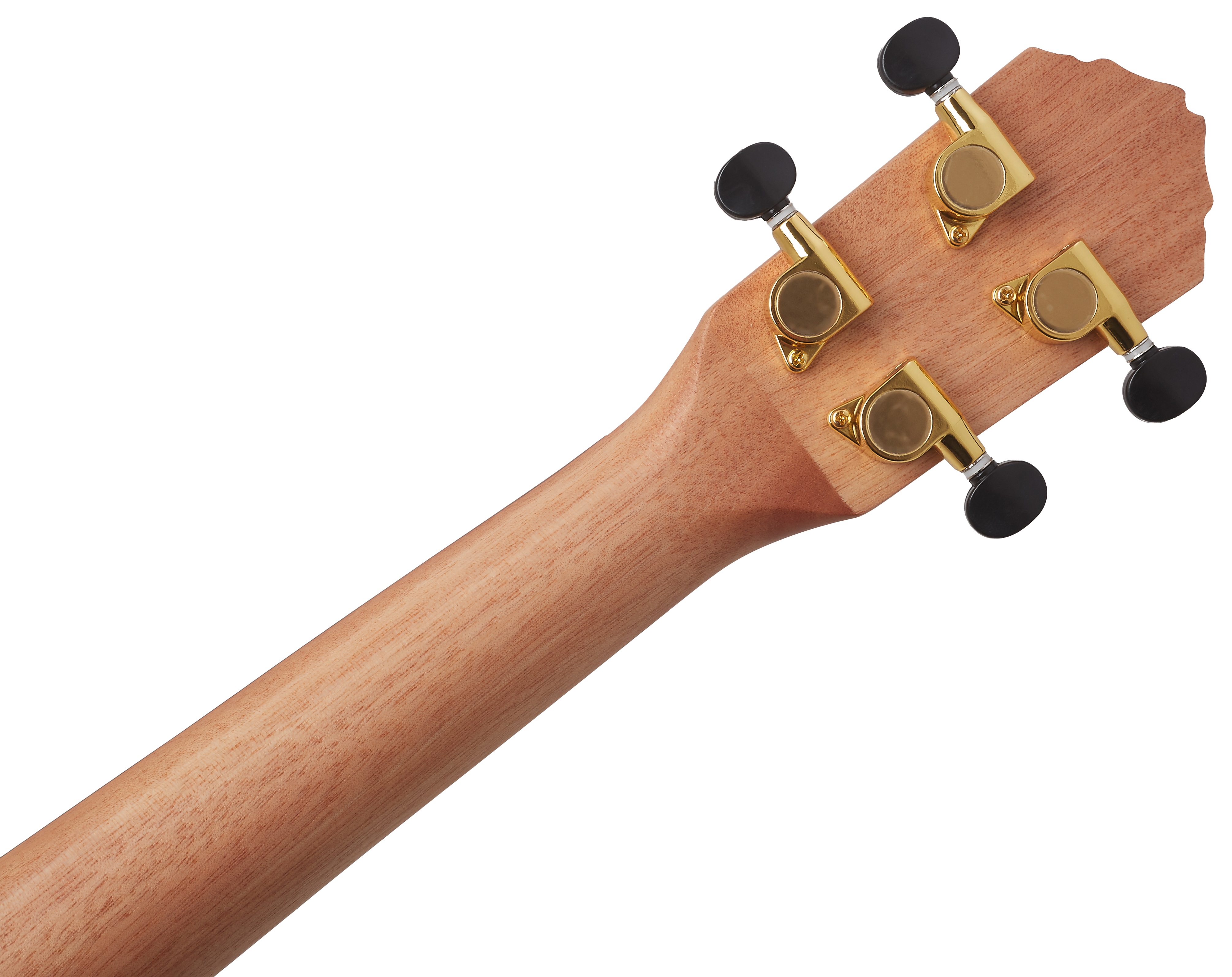 Ortega RUTI-CC (obrázek 5)