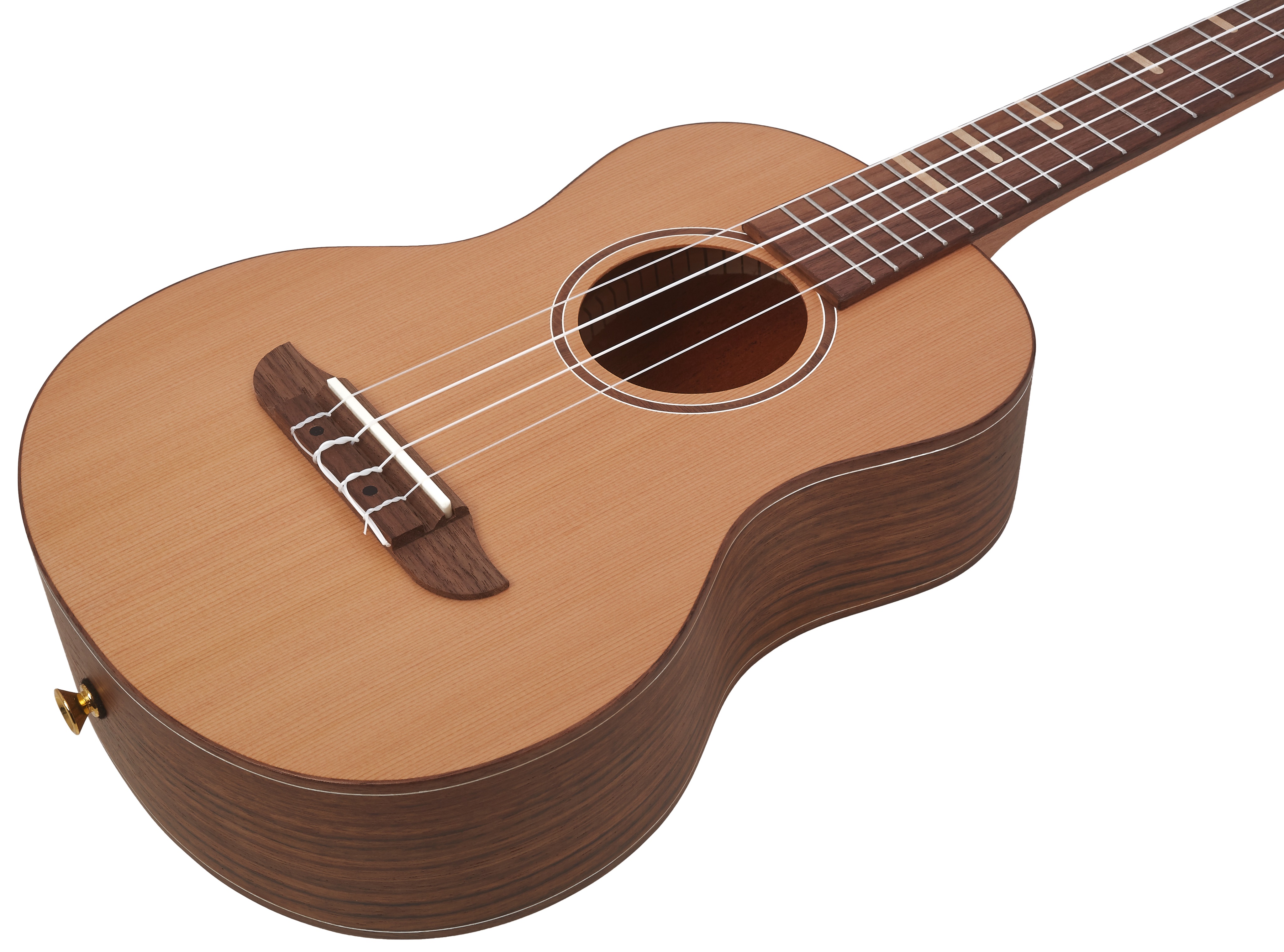 Ortega RUTI-TE (obrázek 3)