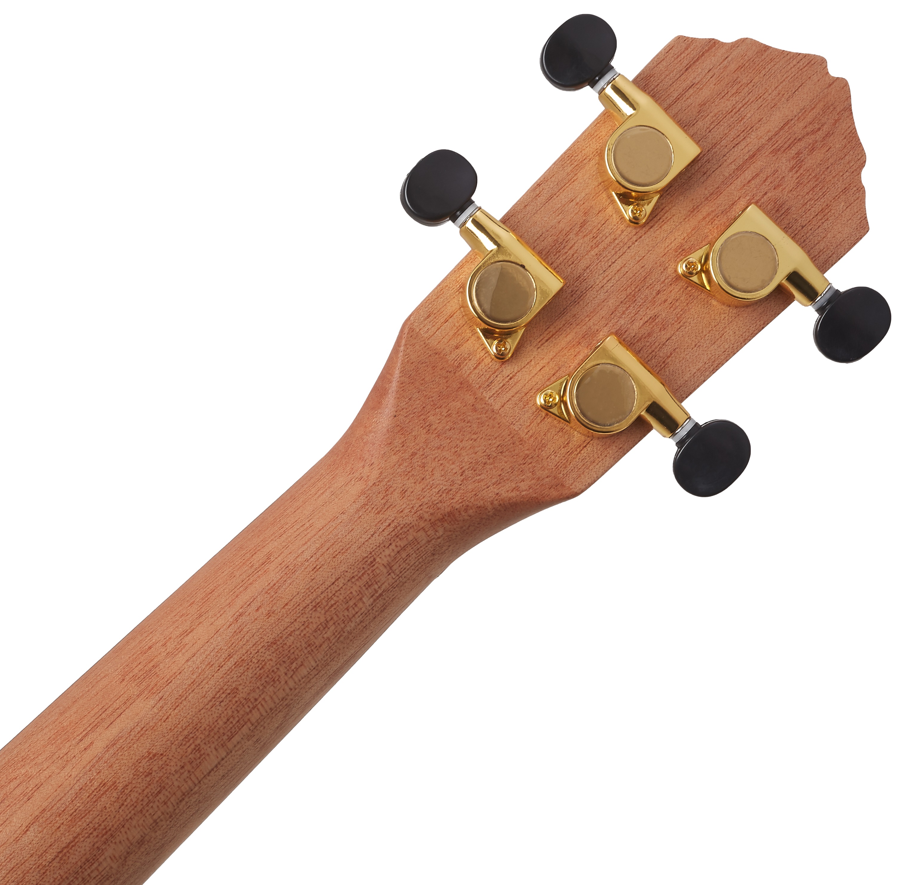 Ortega RUTI-TE (obrázek 5)