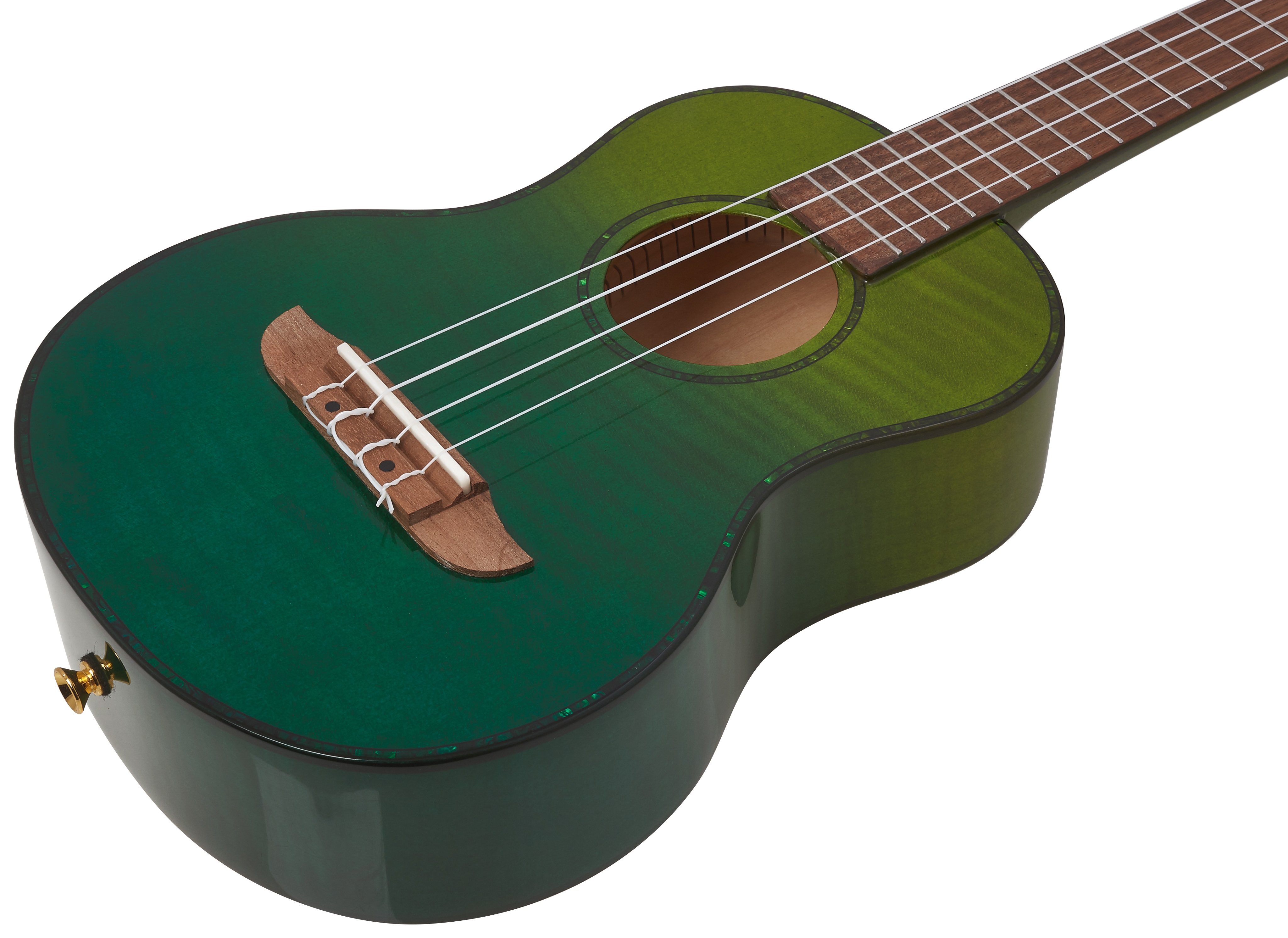 Ortega RUPR-IVY (obrázek 3)