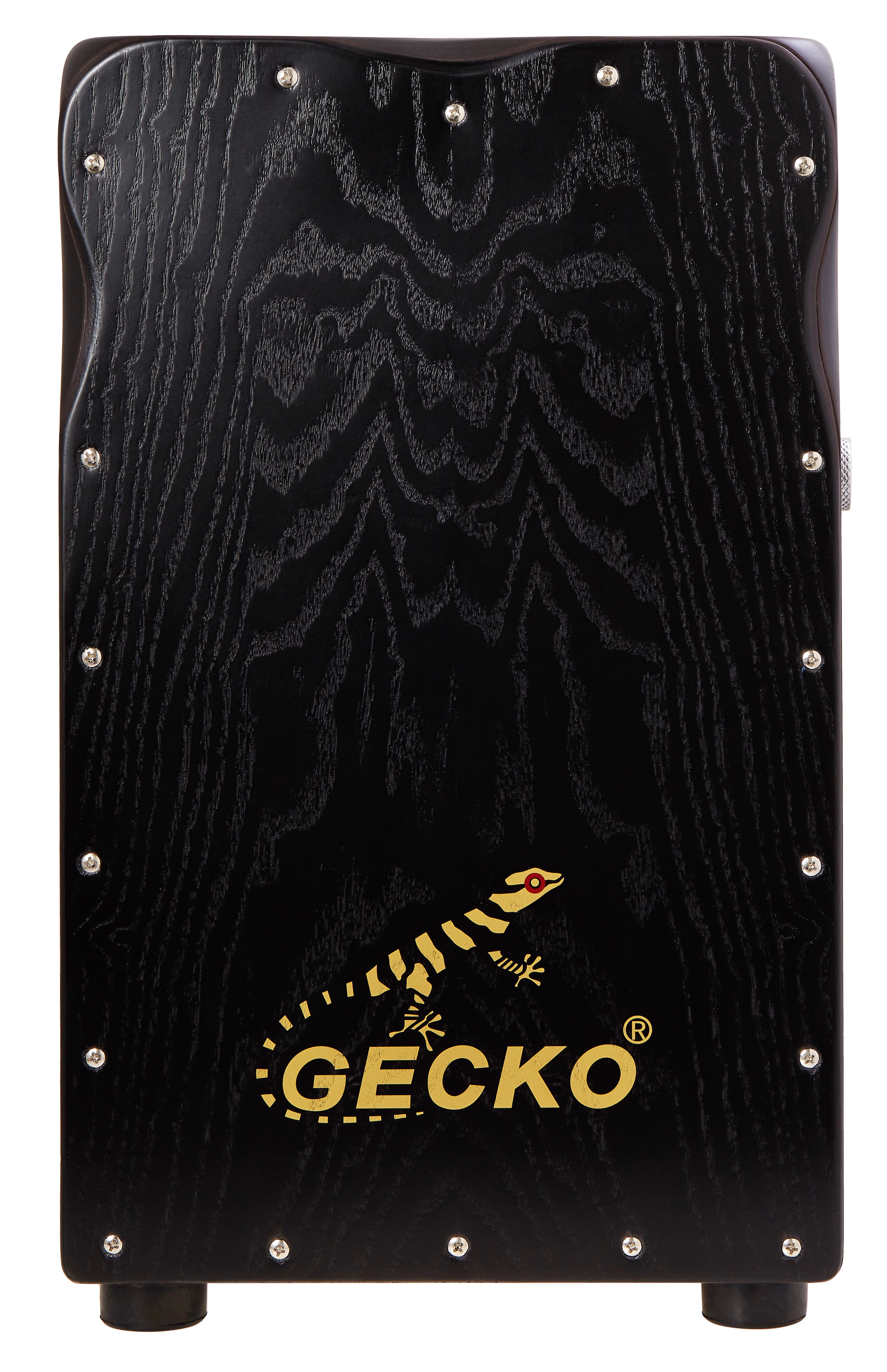 Gecko CL99 (obrázek 4)