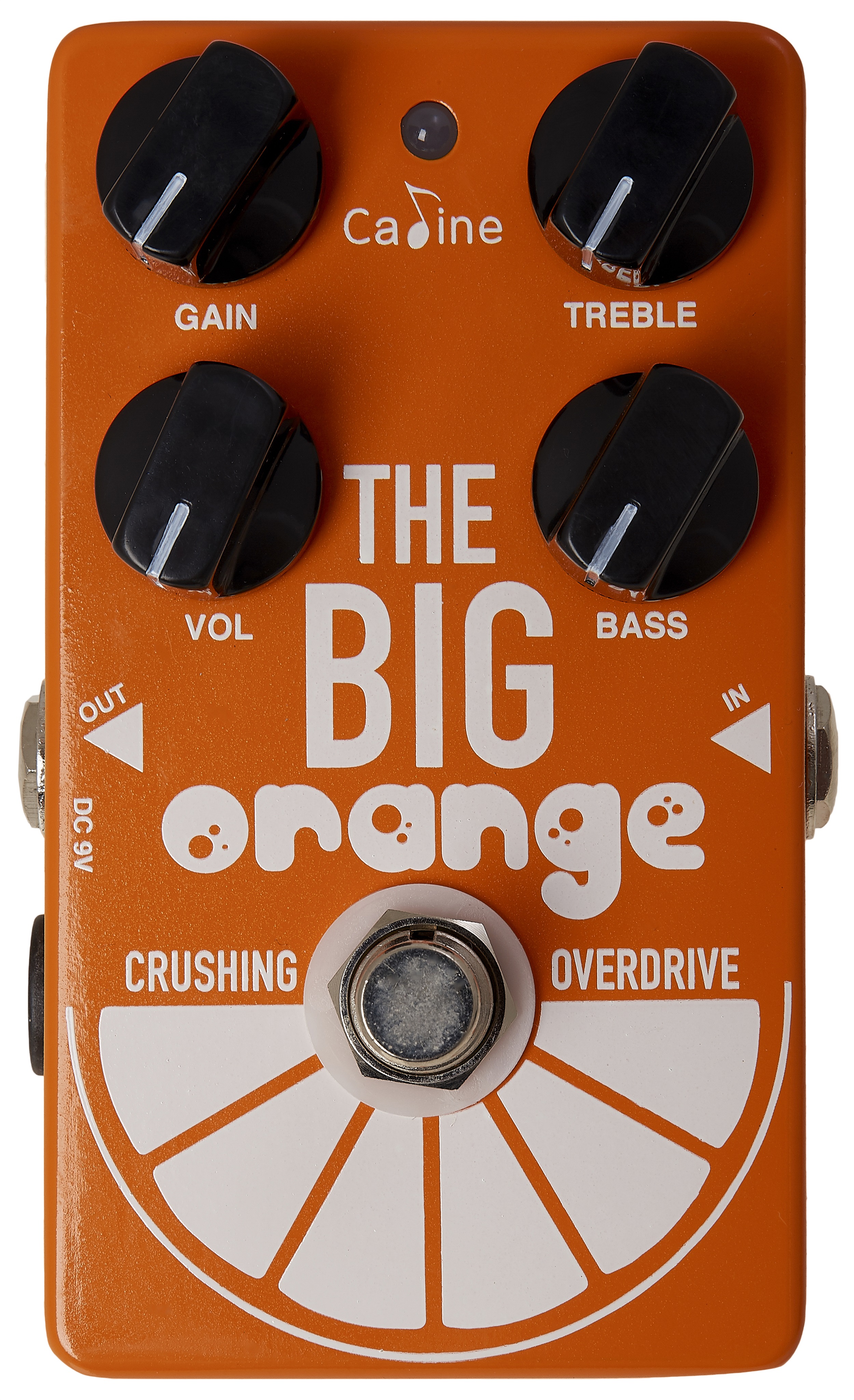 Levně Caline CP-54 Big Orange