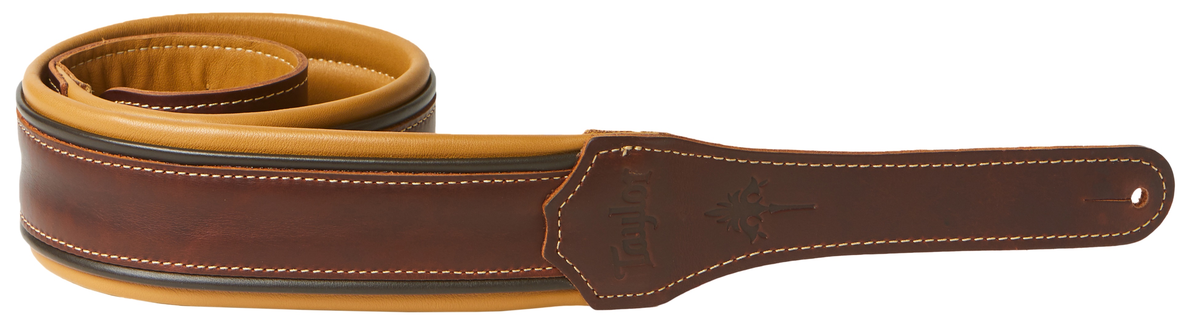 Levně Taylor Ascension Strap 2.5"
