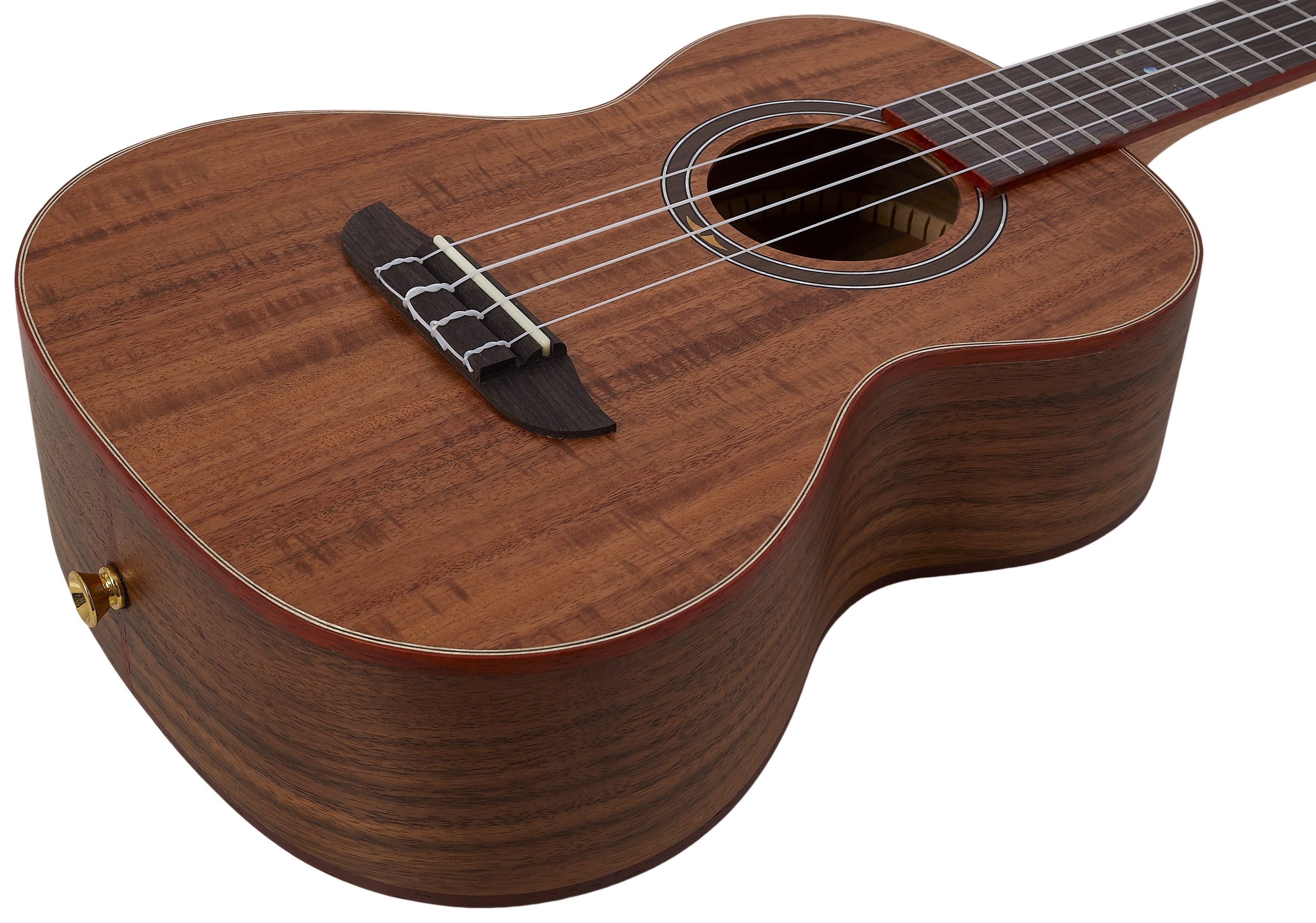 Ortega RUACA-TE (obrázek 5)