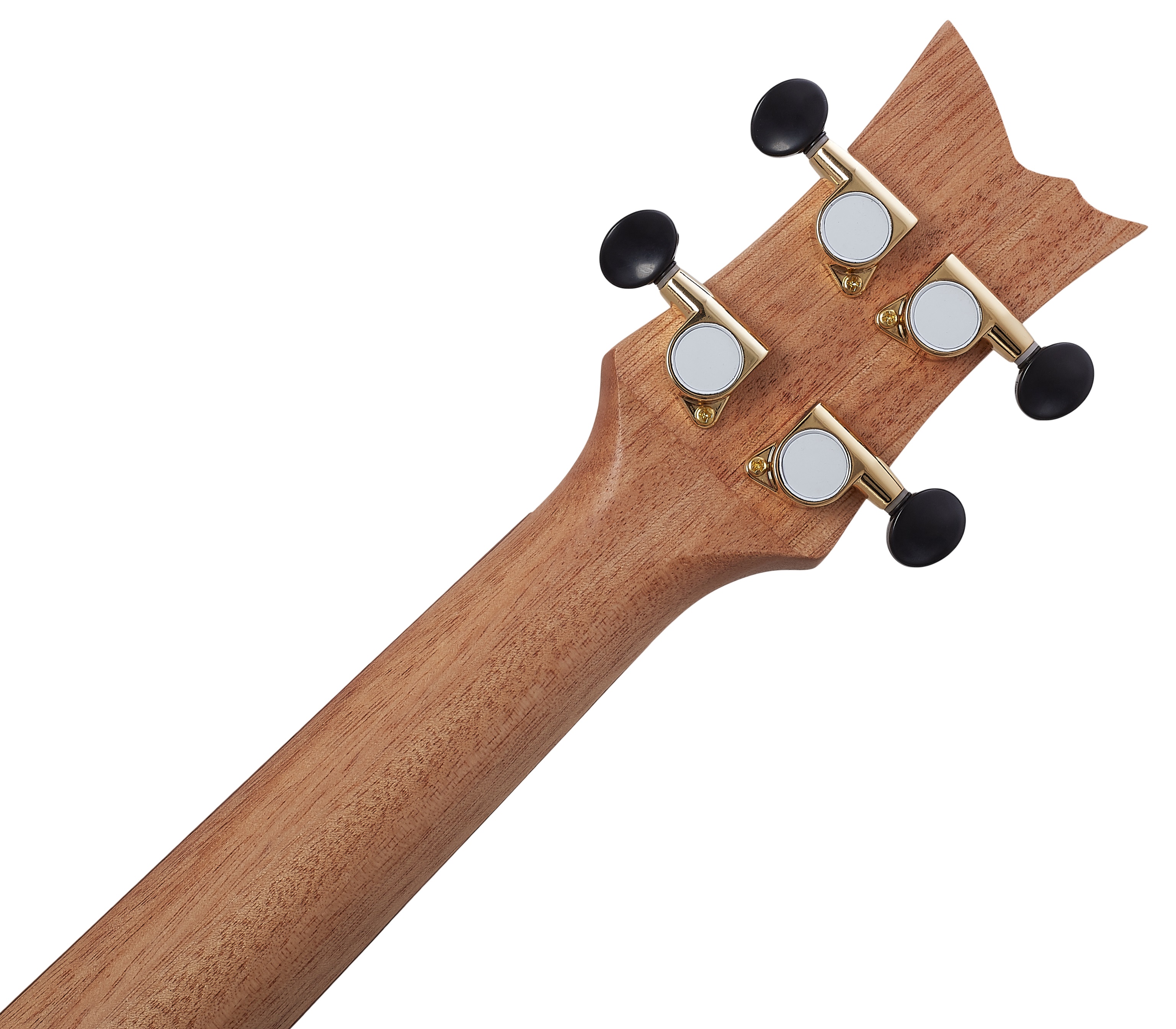 Ortega RUACA-TE (obrázek 4)