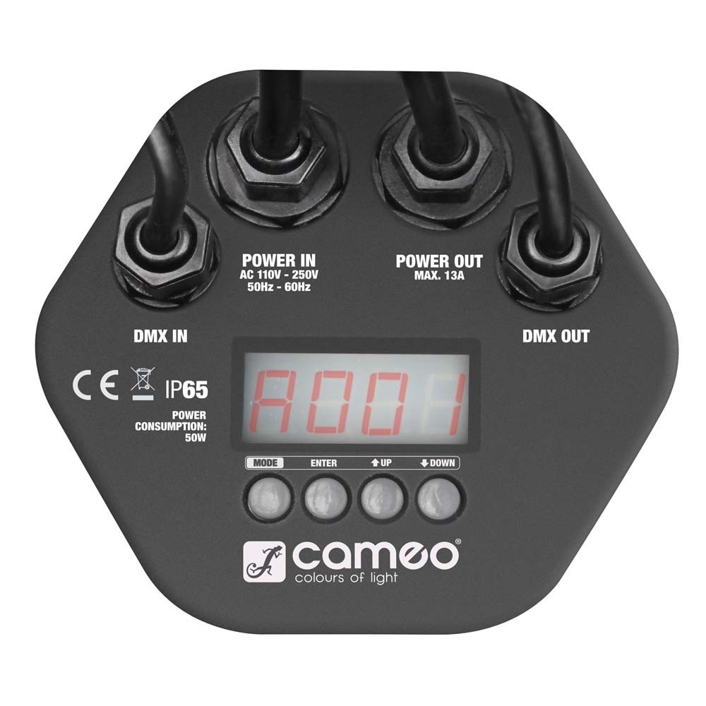 CAMEO STUDIO PAR TRI 12 IP (obrázek 3)