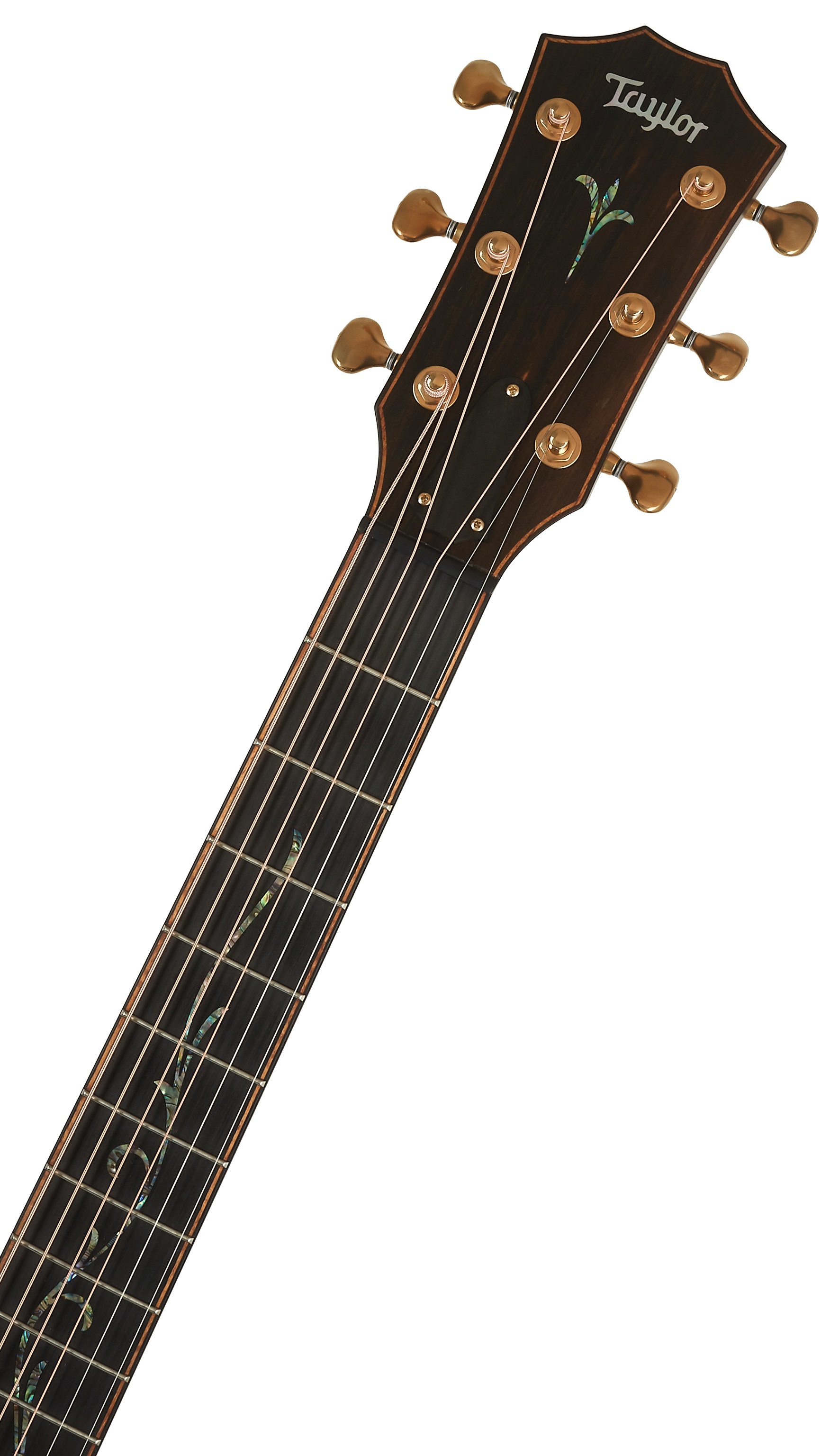 Taylor Builder's Edition K24ce (obrázek 5)