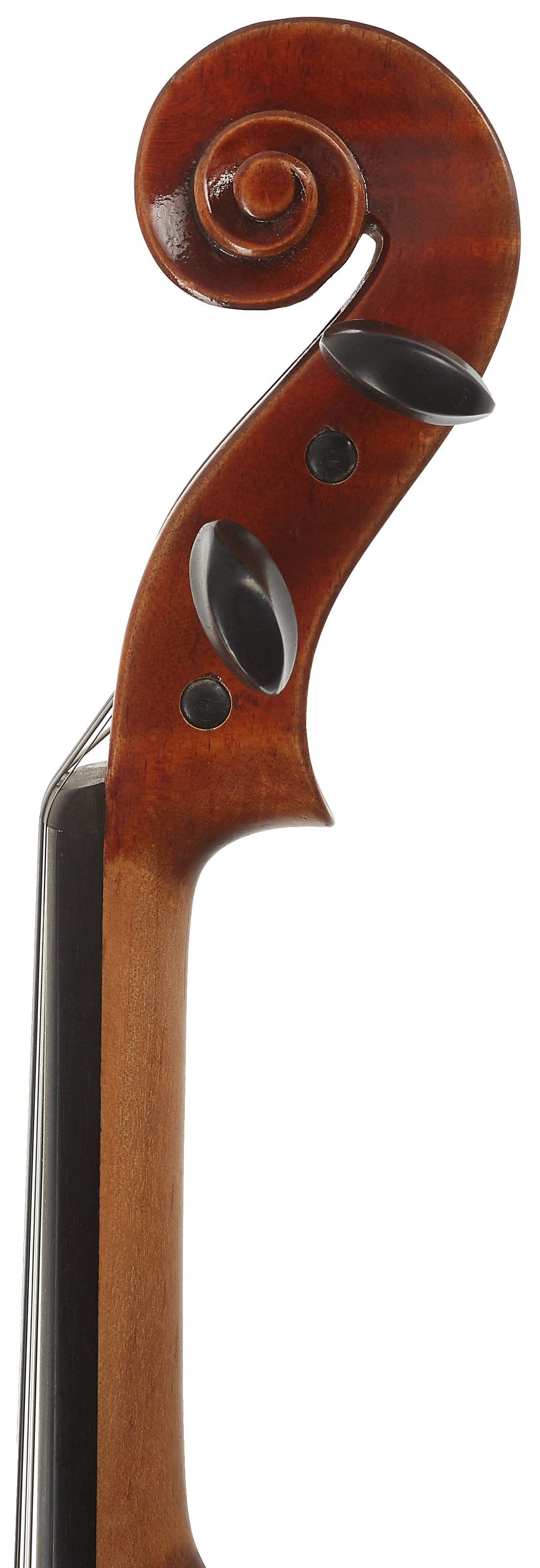 DXKY Custom Stradivari No.2 (obrázek 5)