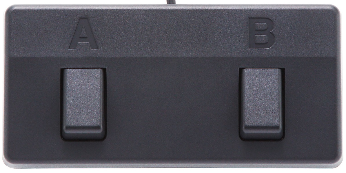 Boss Acoustic Singer Live (obrázek 5)