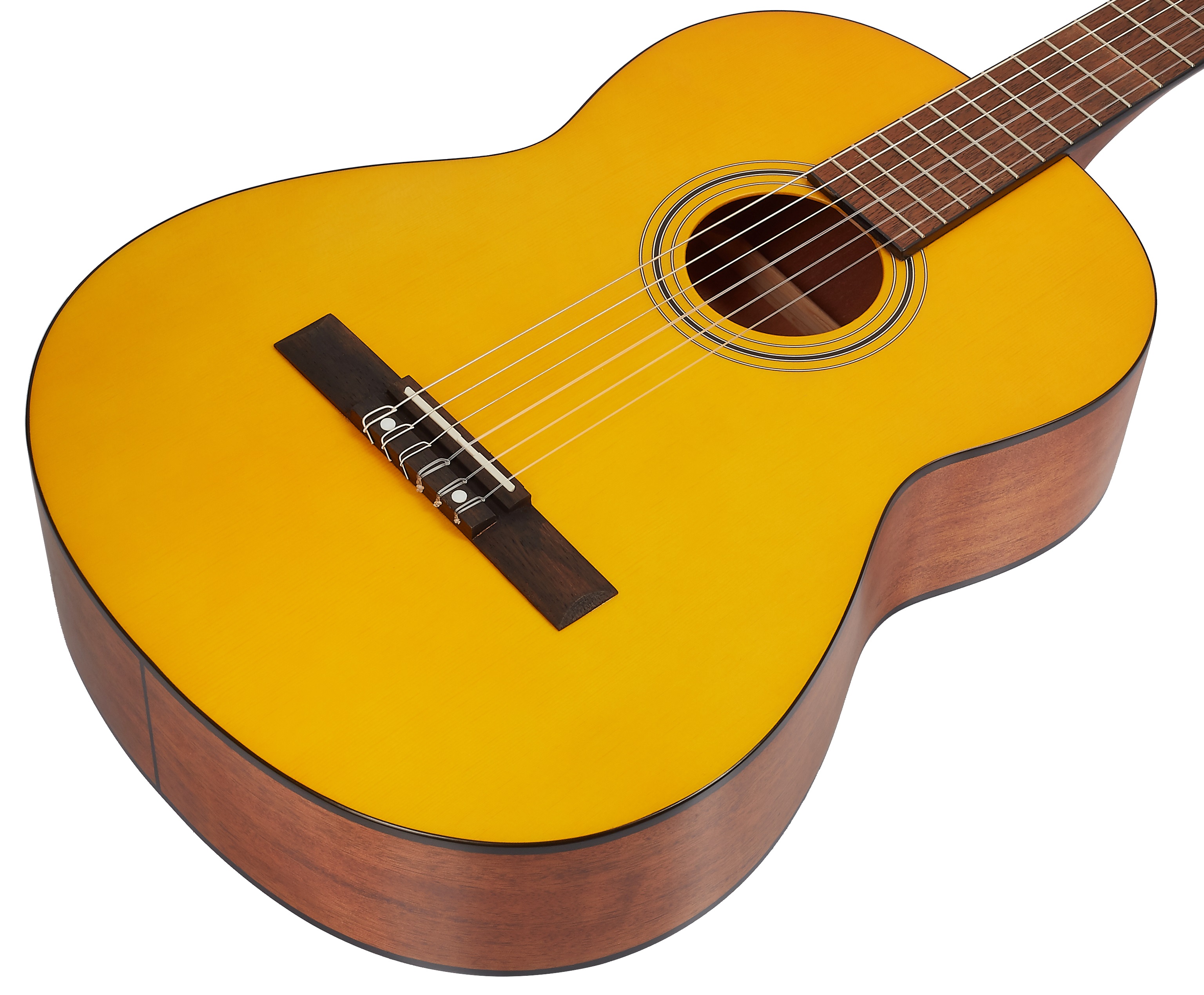 Fender ESC 110 WN (obrázek 3)