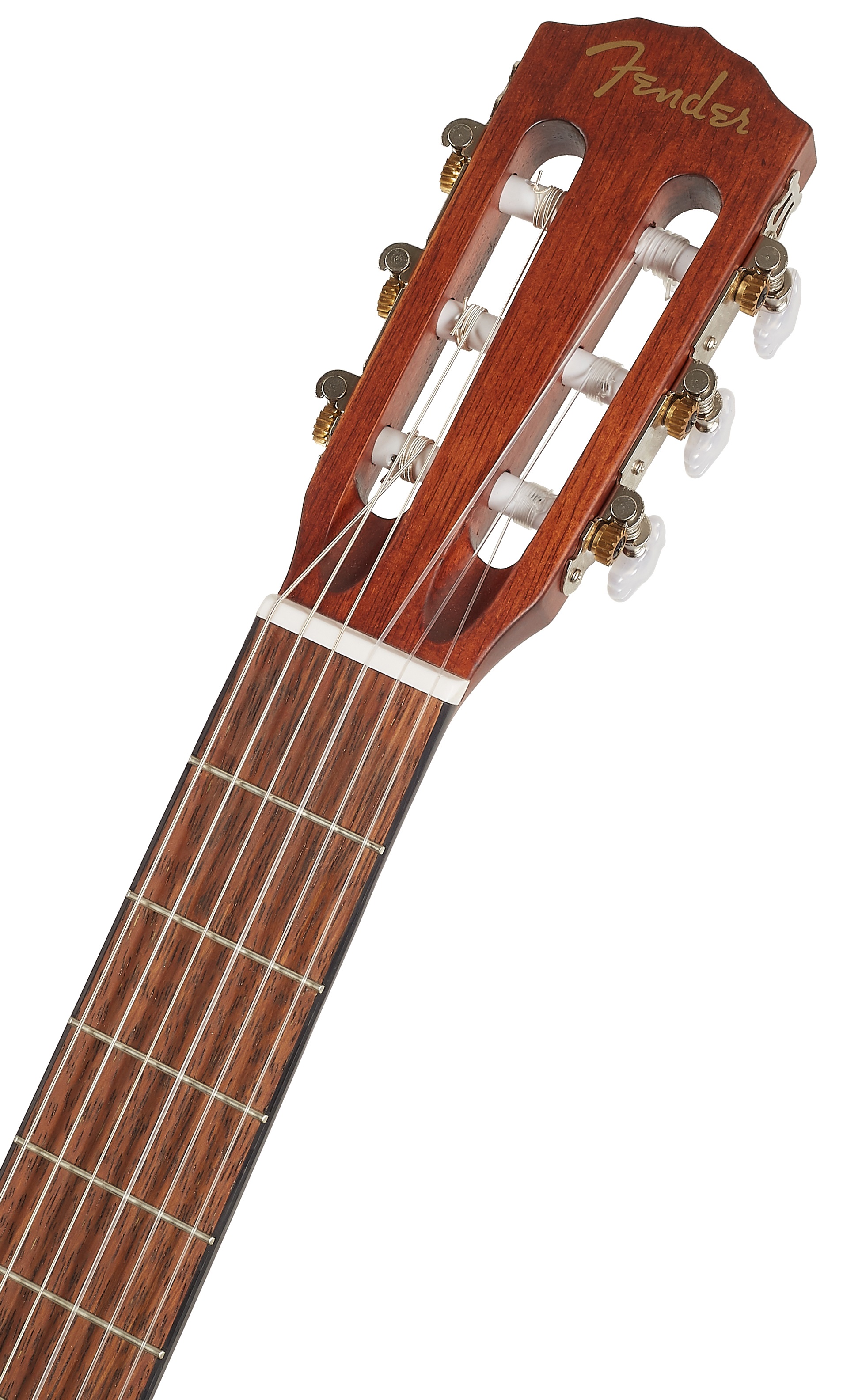 Fender ESC 110 WN (obrázek 4)