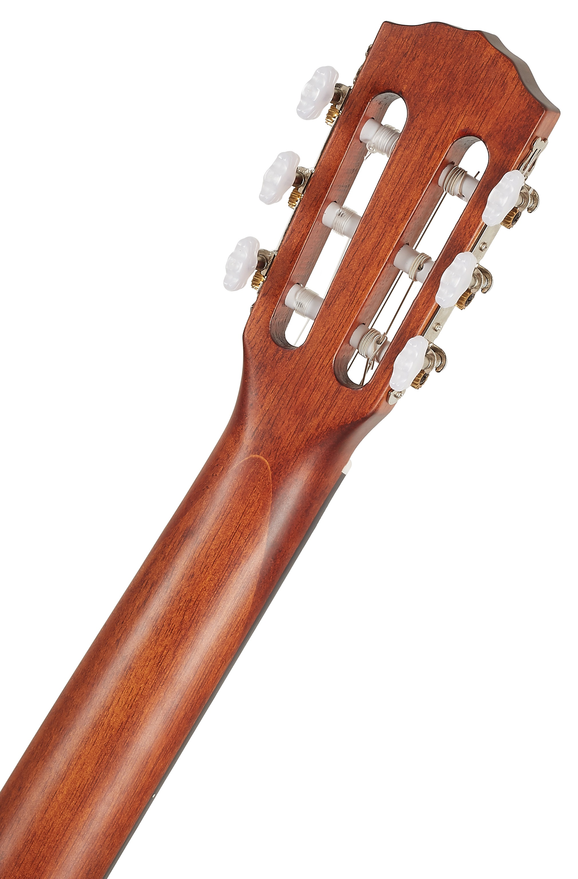 Fender ESC 110 WN (obrázek 5)