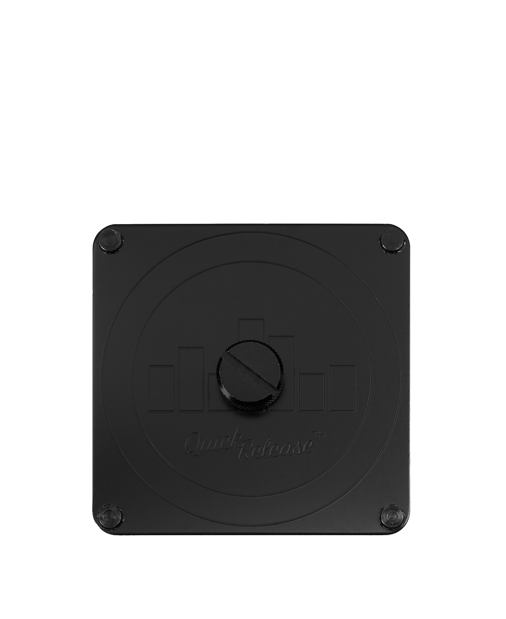 Levně Temple Audio Large Mounting Plate with Screw