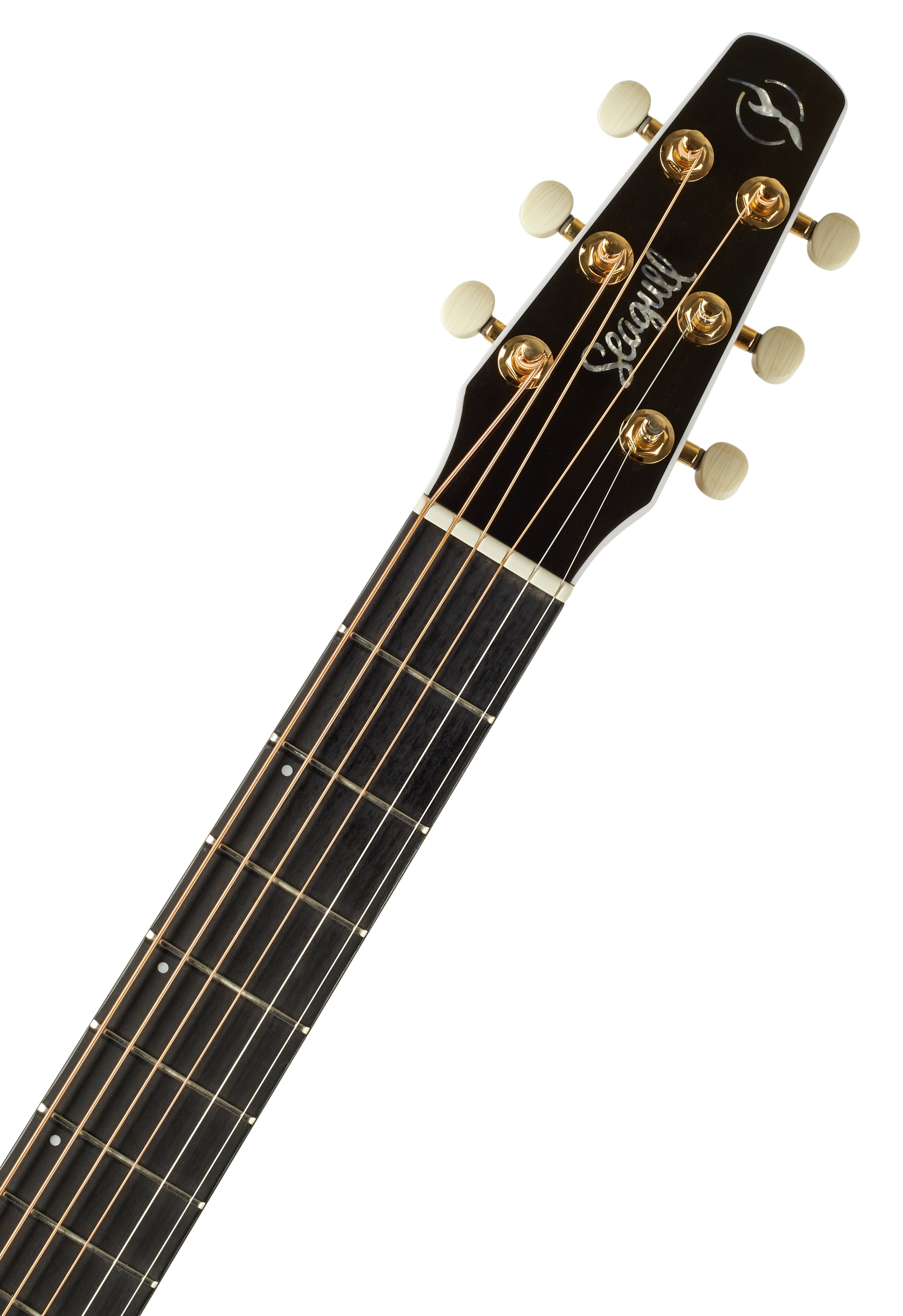 Seagull Artist Peppino Signature CW Burnt Umber (obrázek 4)