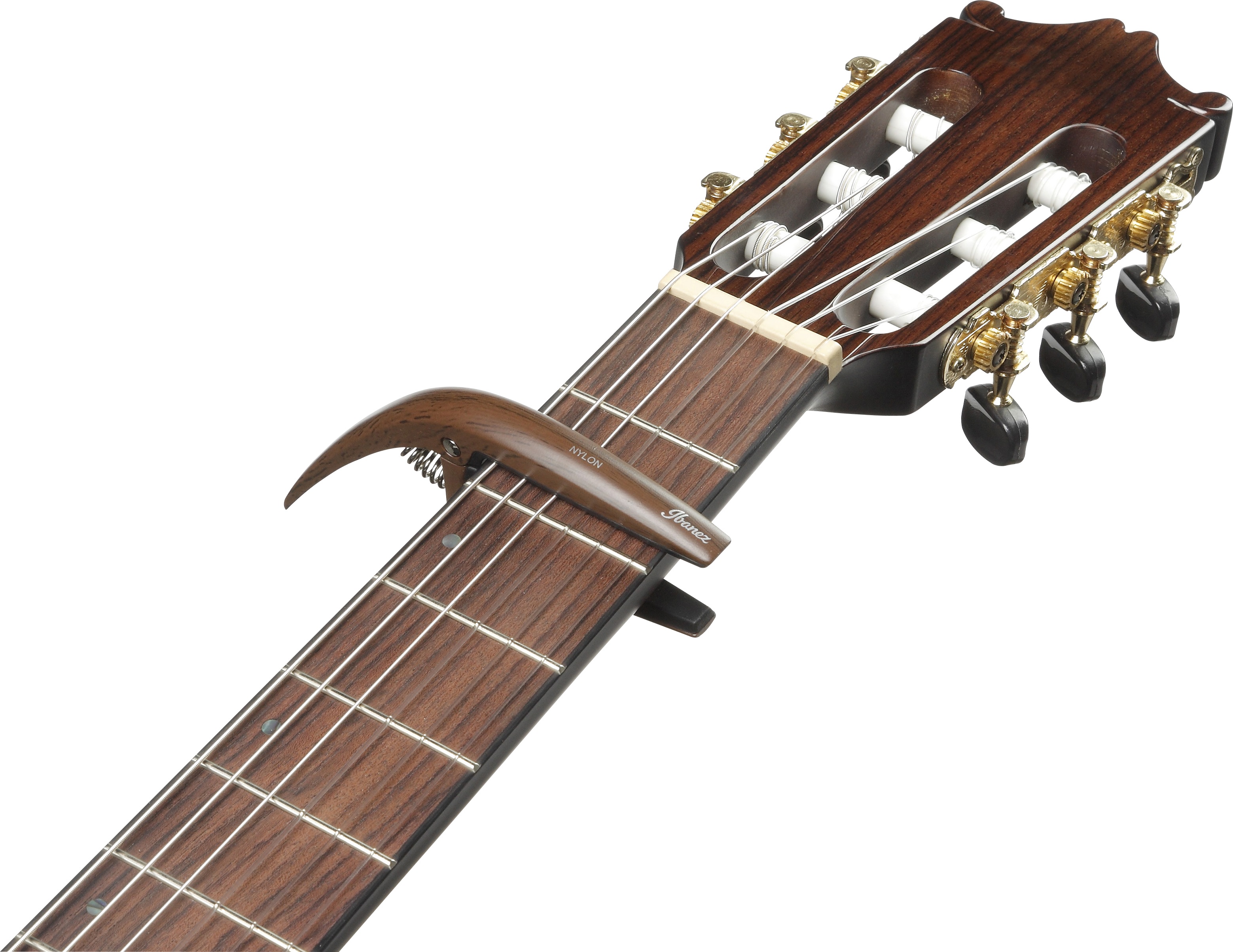 Ibanez ICGC10W (obrázek 3)