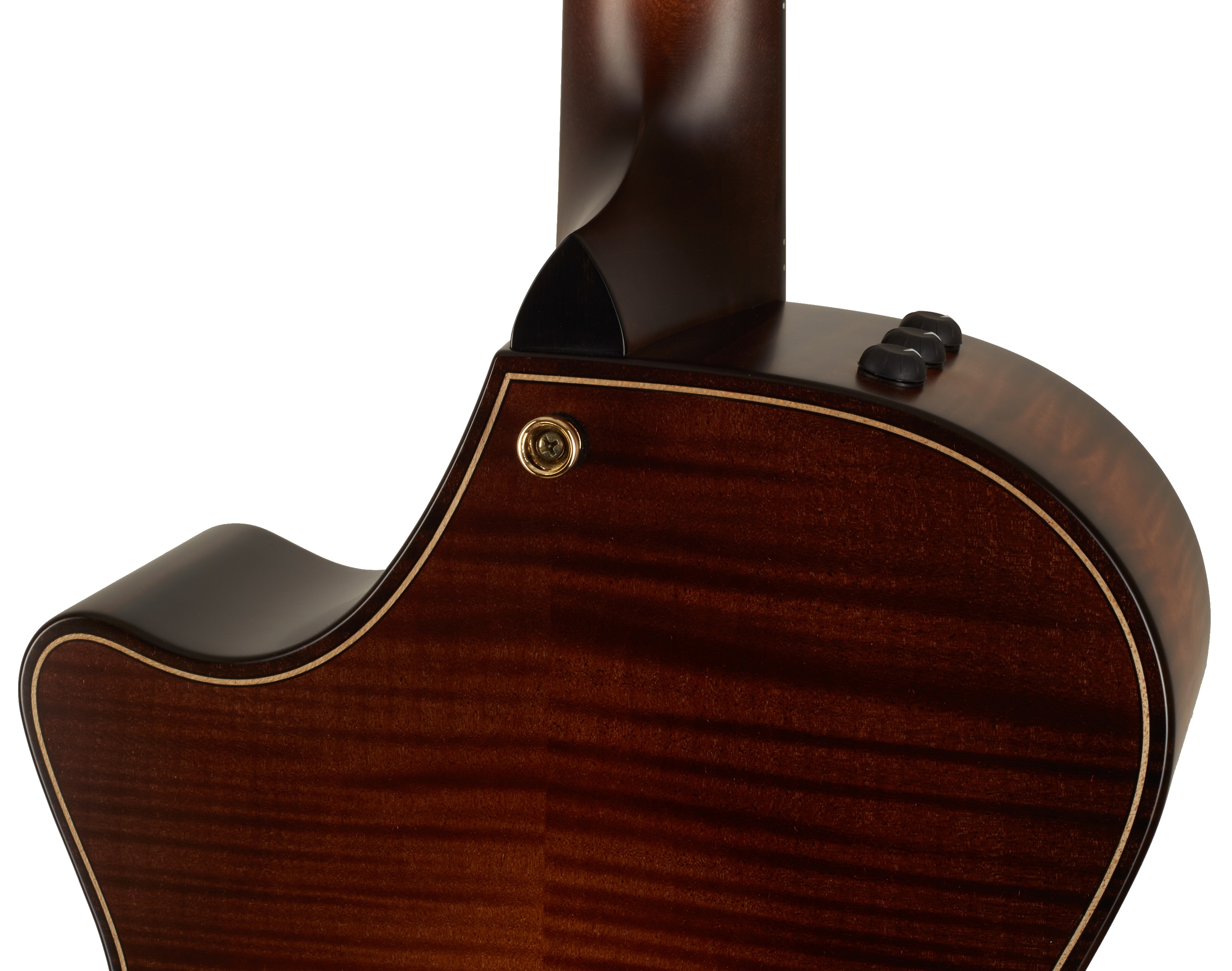 Taylor Builders Edition 652ce WHB (obrázek 5)