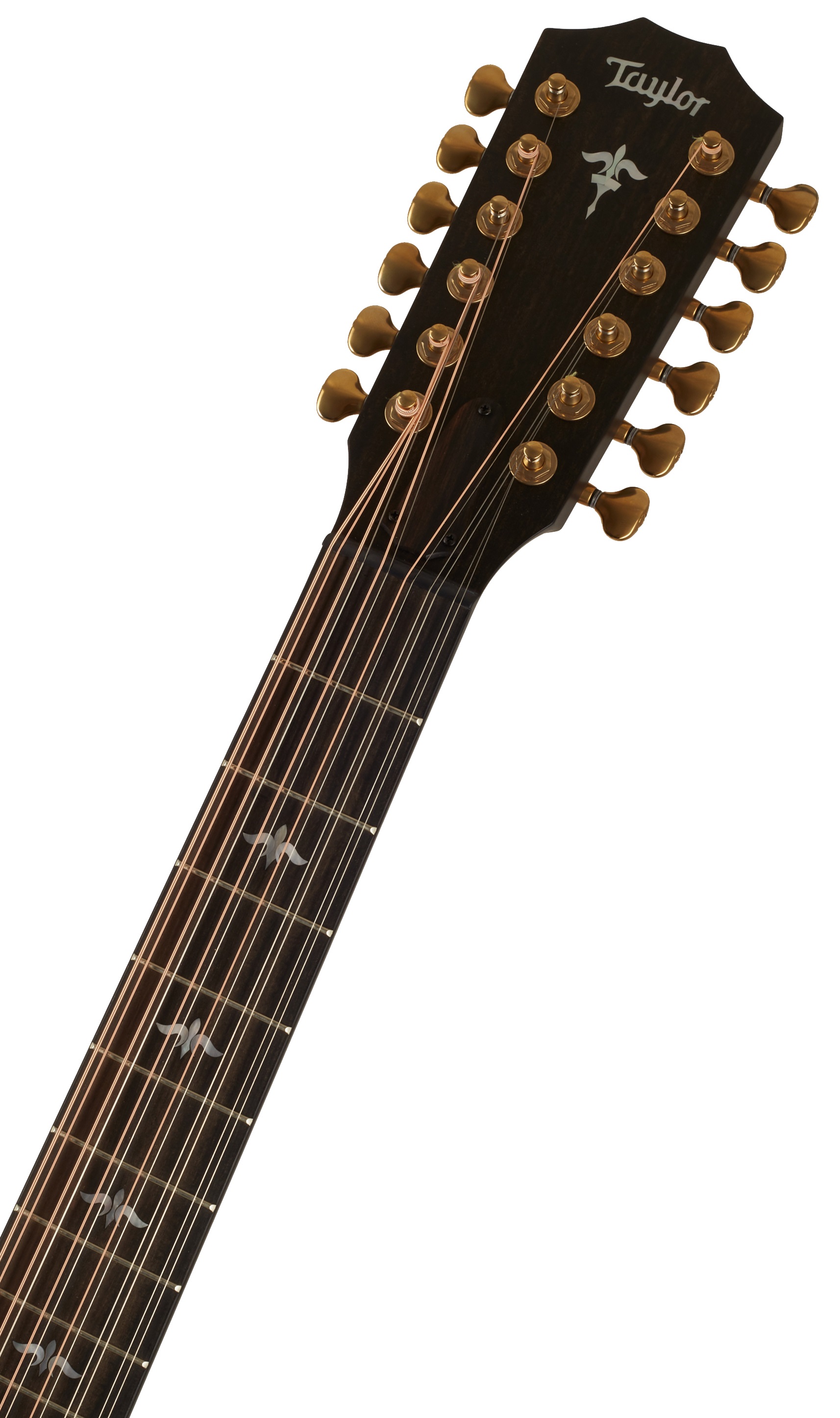 Taylor Builders Edition 652ce WHB (obrázek 6)