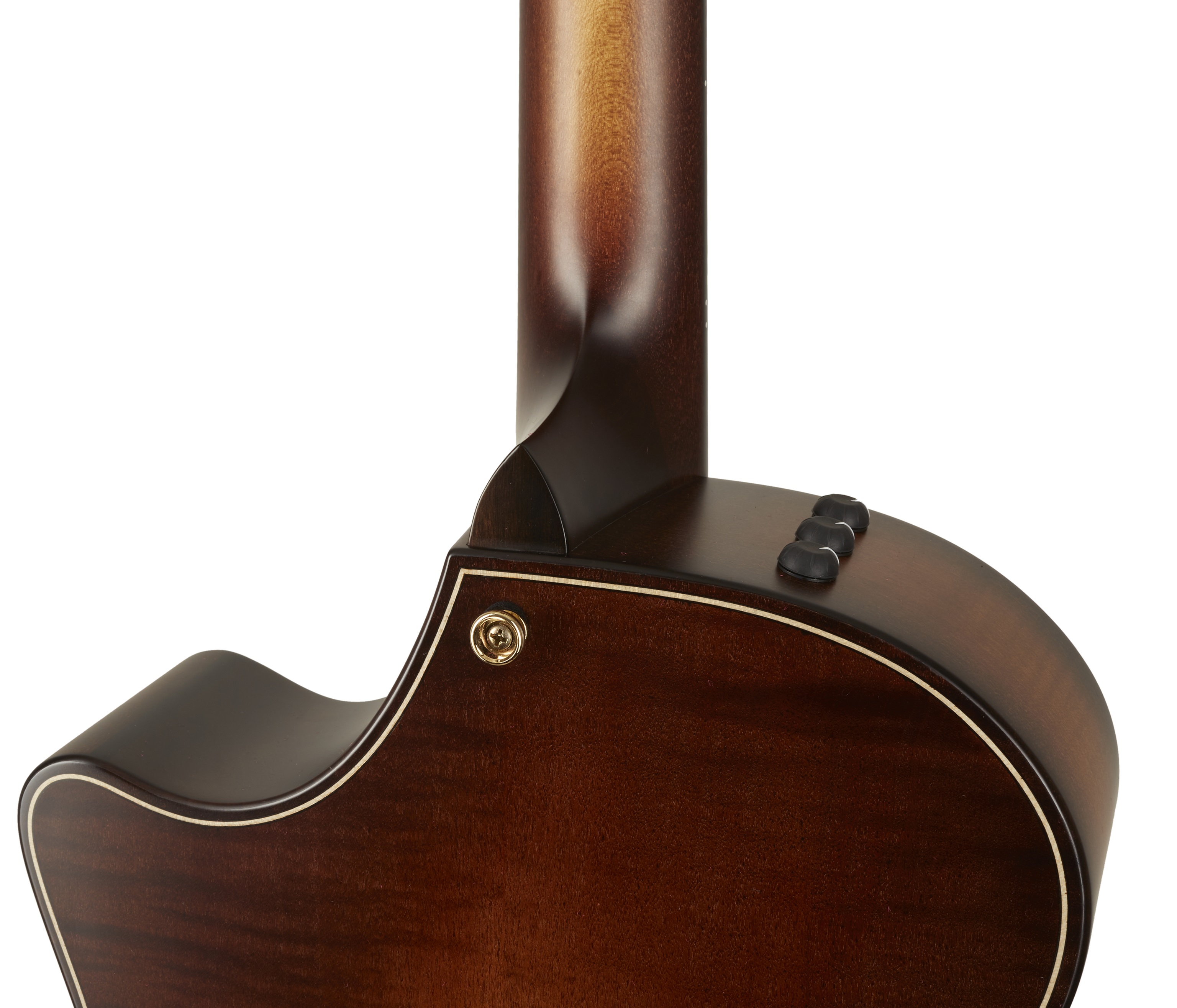 Taylor Builders Edition 614ce (obrázek 3)