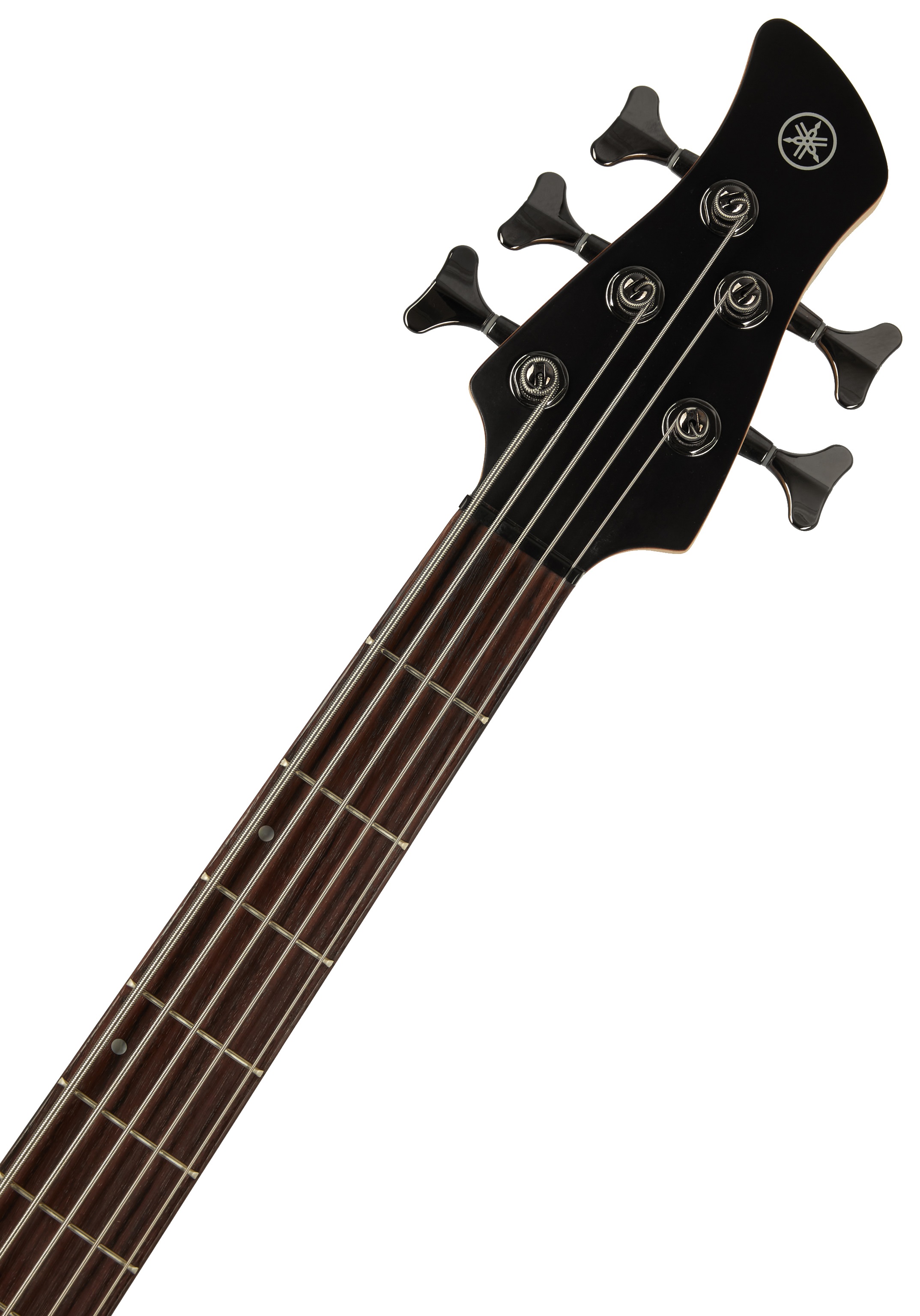 Yamaha TRBX505 TBL (obrázek 4)
