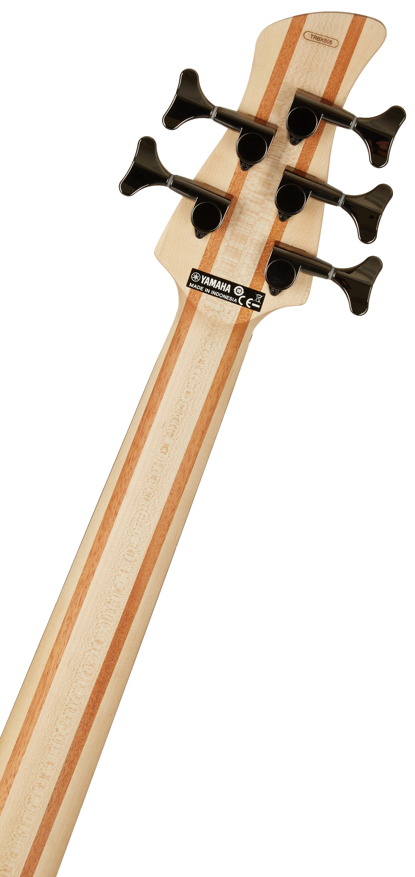 Yamaha TRBX505 TBL (obrázek 5)