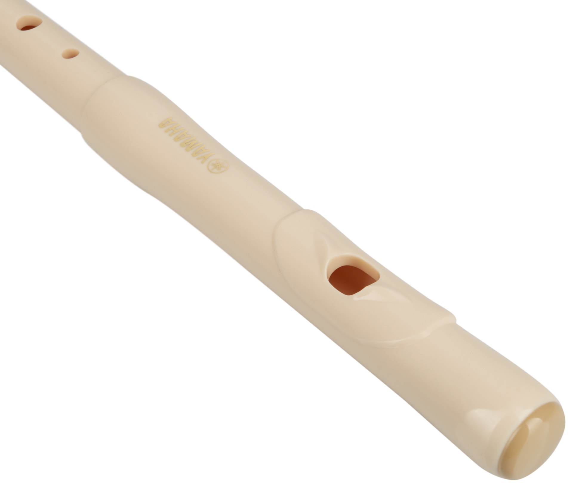 Yamaha YRF 21B (obrázek 3)