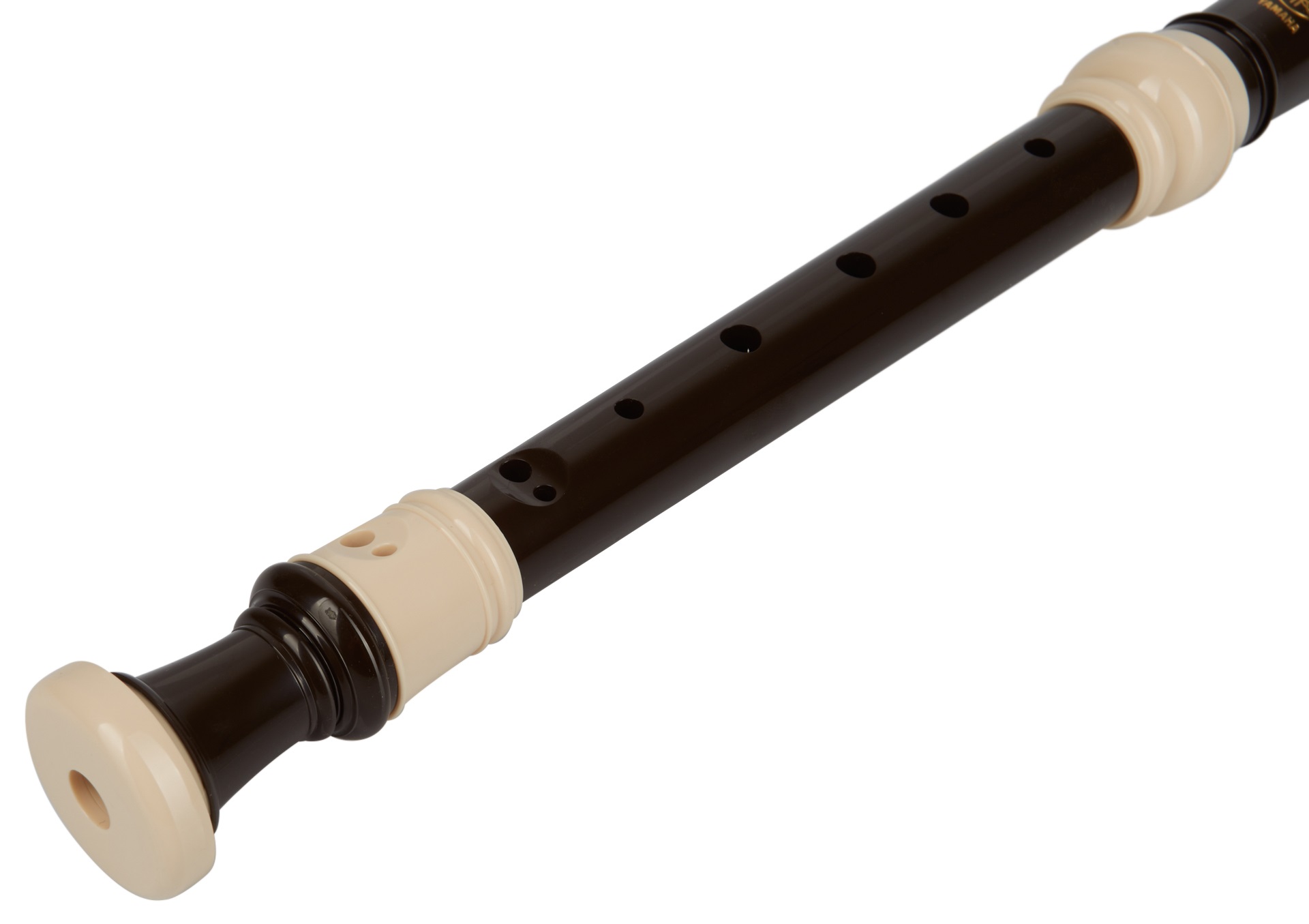 Yamaha YRS-31 (obrázek 3)