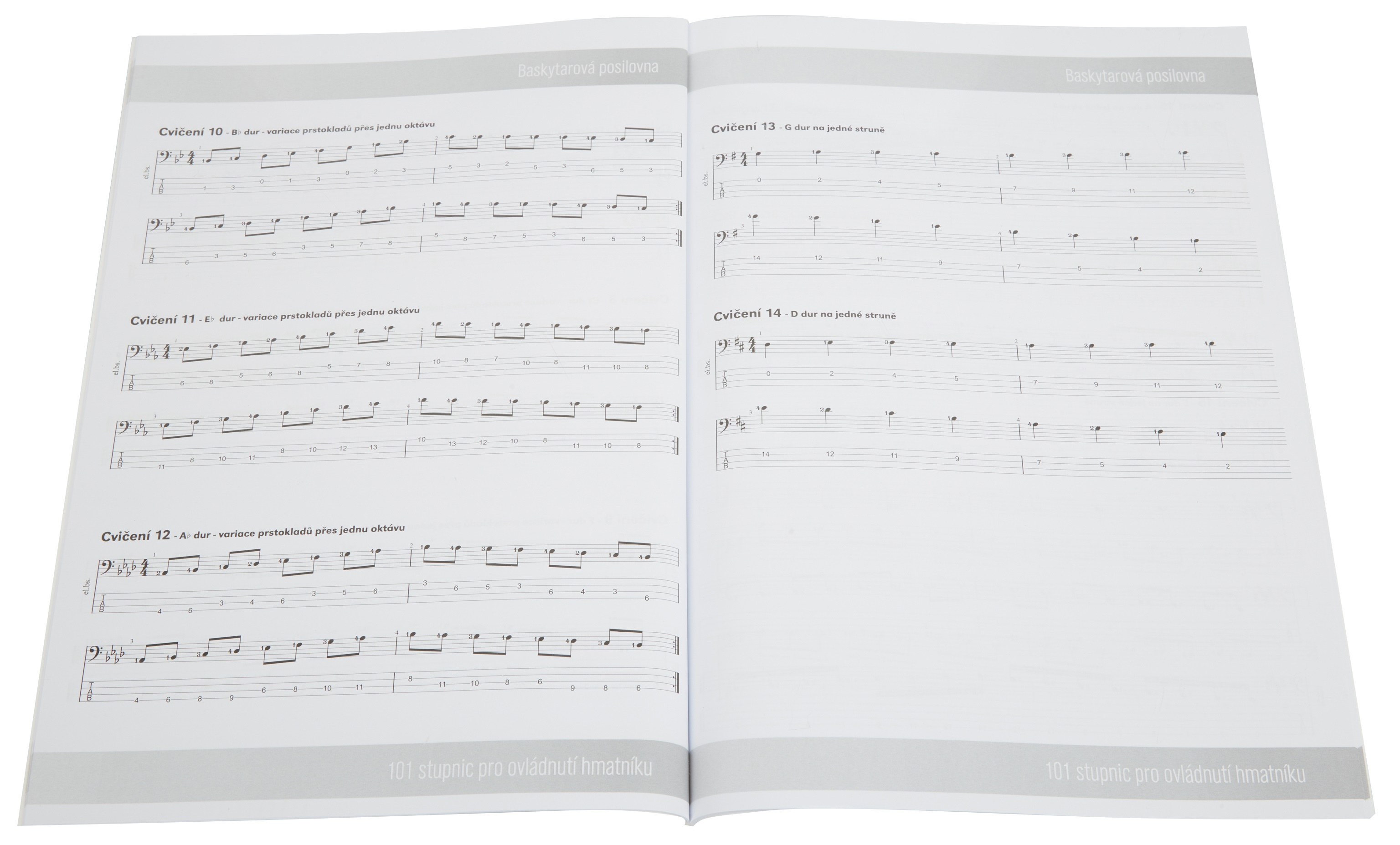 Baskytarová posilovna 101 stupnic pro ovládnutí hmatníku (obrázek 3)