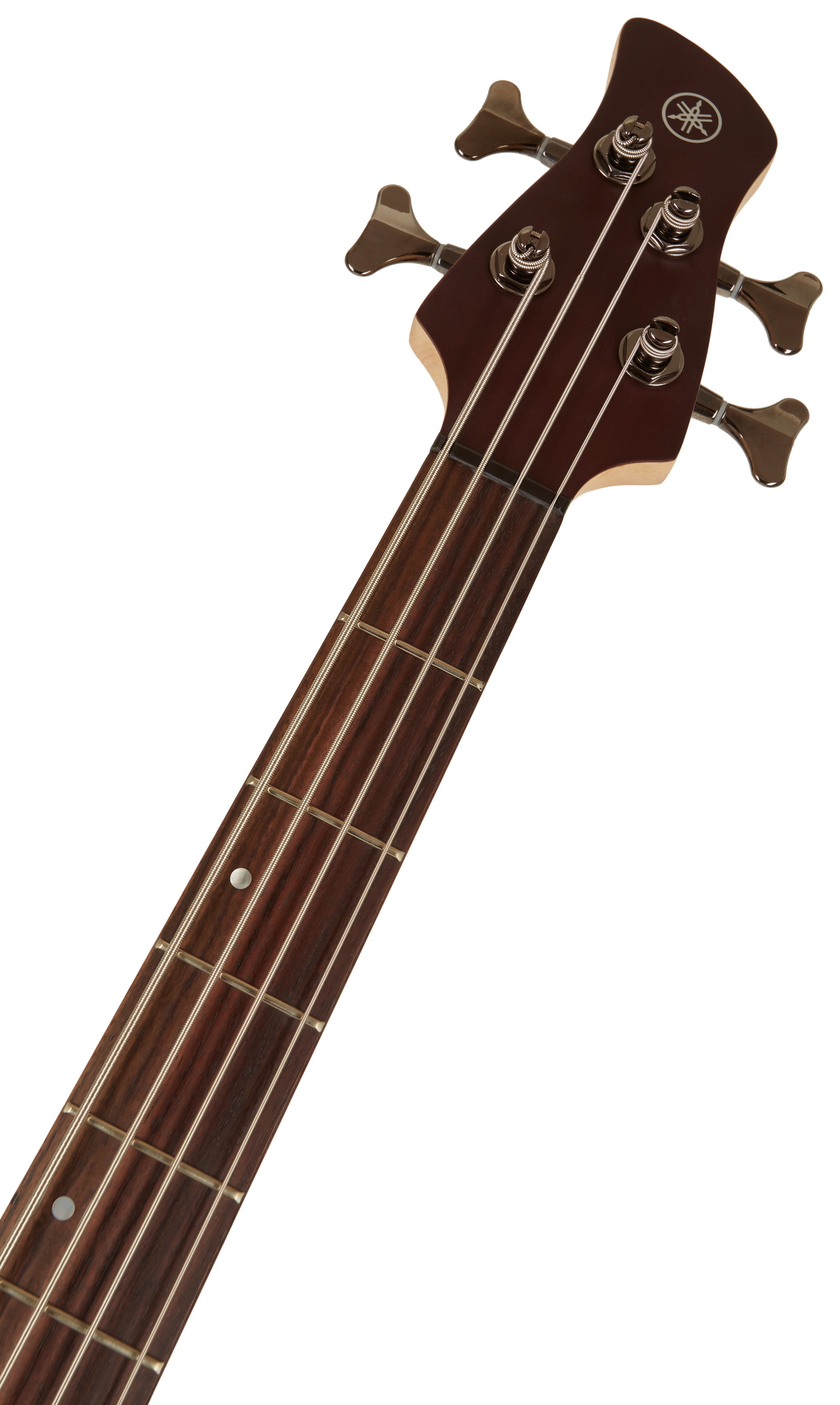 Yamaha TRBX504 TBN (obrázek 4)