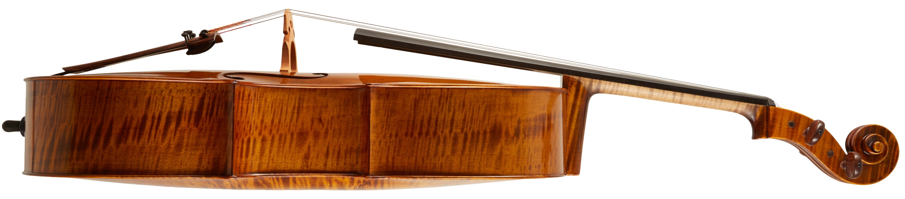Maestro Instrument Petr Rácz Violoncello anno 2015 (obrázek 3)