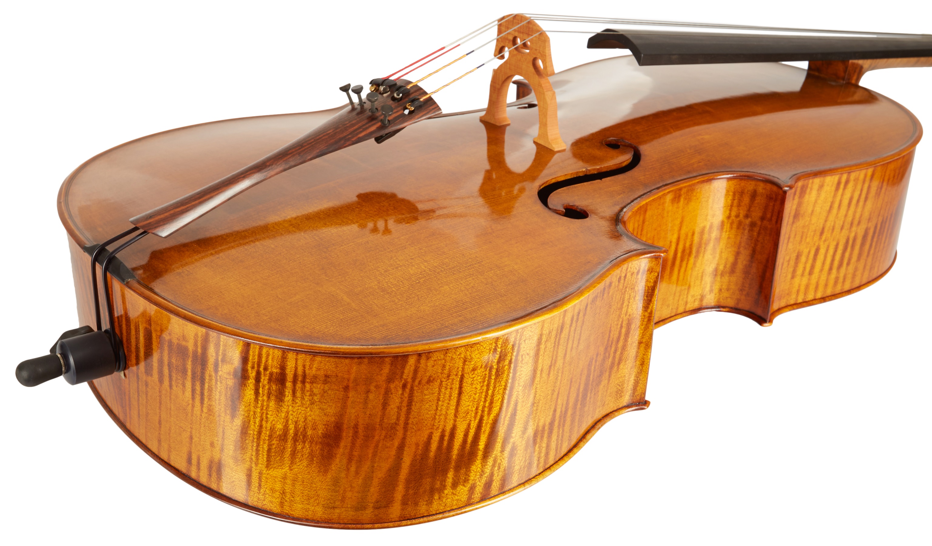 Maestro Instrument Petr Rácz Violoncello anno 2015 (obrázek 4)